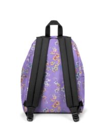 viola3