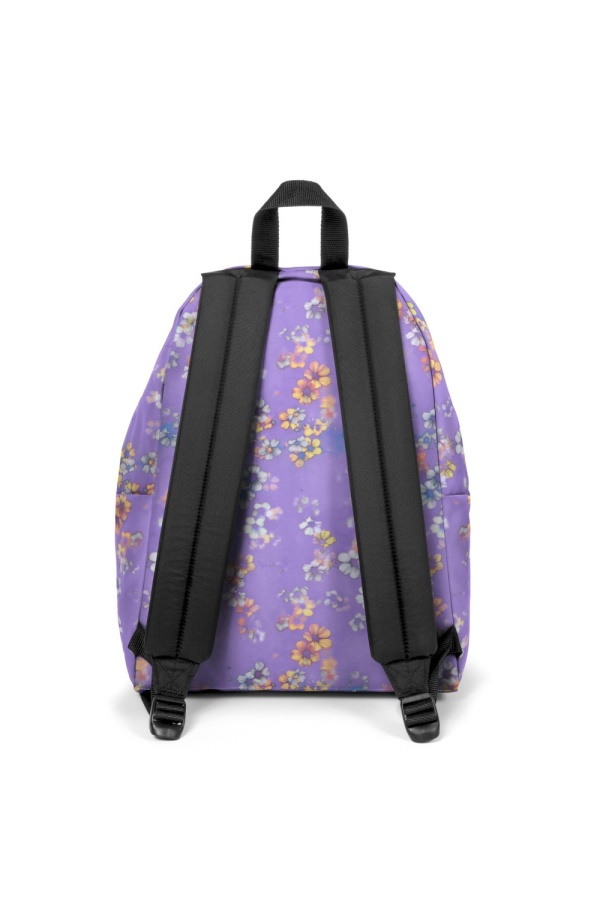 viola3
